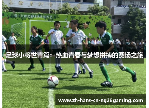 足球小将世青篇：热血青春与梦想拼搏的赛场之旅