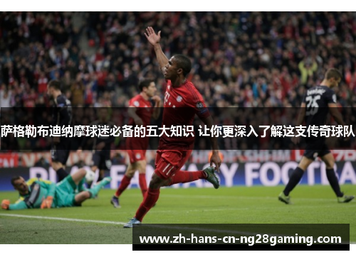 萨格勒布迪纳摩球迷必备的五大知识 让你更深入了解这支传奇球队