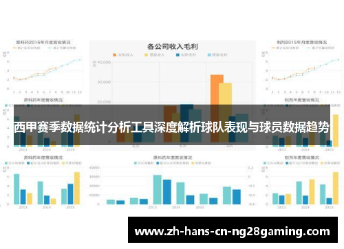 西甲赛季数据统计分析工具深度解析球队表现与球员数据趋势