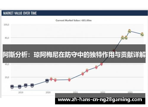 阿斯分析：琼阿梅尼在防守中的独特作用与贡献详解
