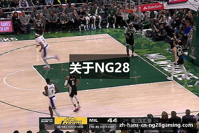 关于NG28